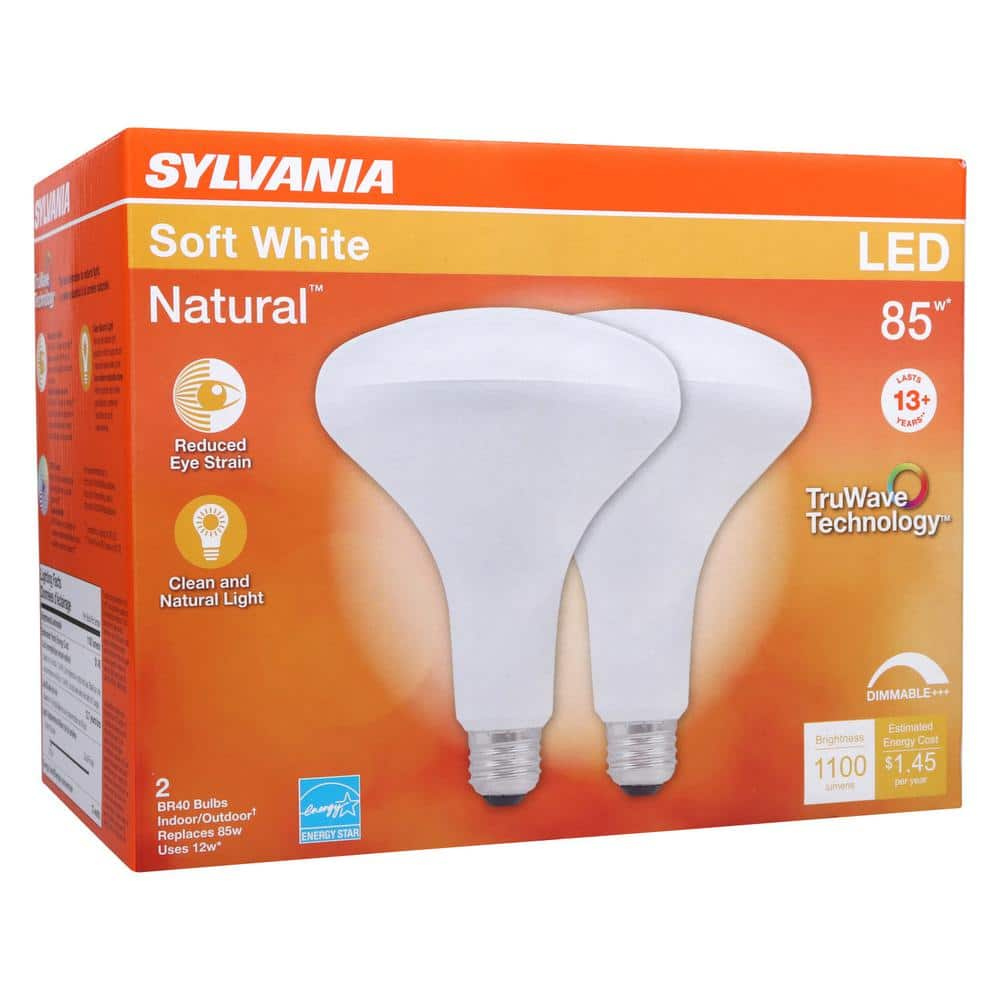 Buy 85-Watt Equivalent BR40 Dimmable LED Light Bulb In 3000K (2-Pack ...