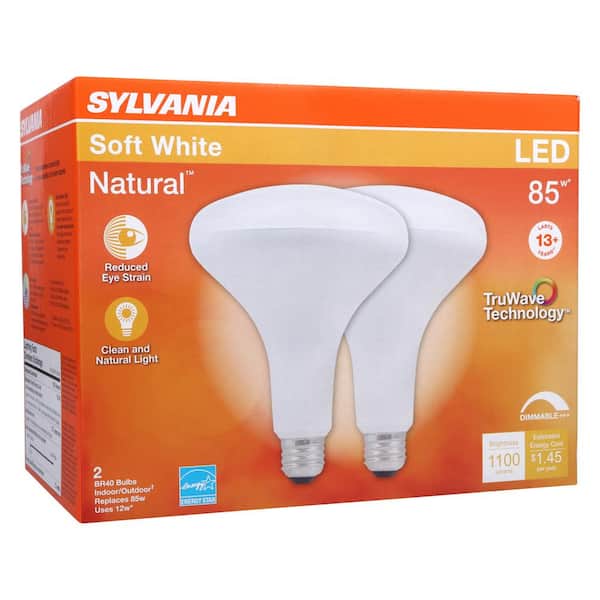 produceren Los doorgaan met Sylvania 85-Watt Equivalent BR40 Dimmable LED Light Bulb in 3000K (2-Pack)  40786 - The Home Depot