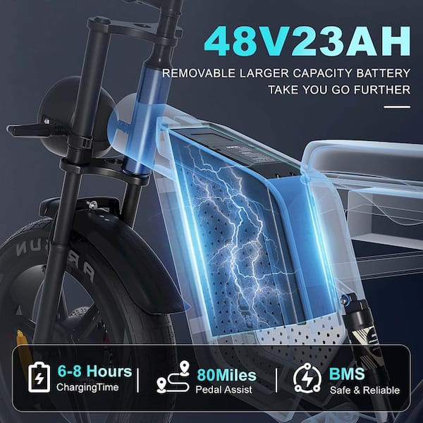 Zeus & Ruta 20 in. 750-Watt Fat Tire 48-Volt Removable Lithium