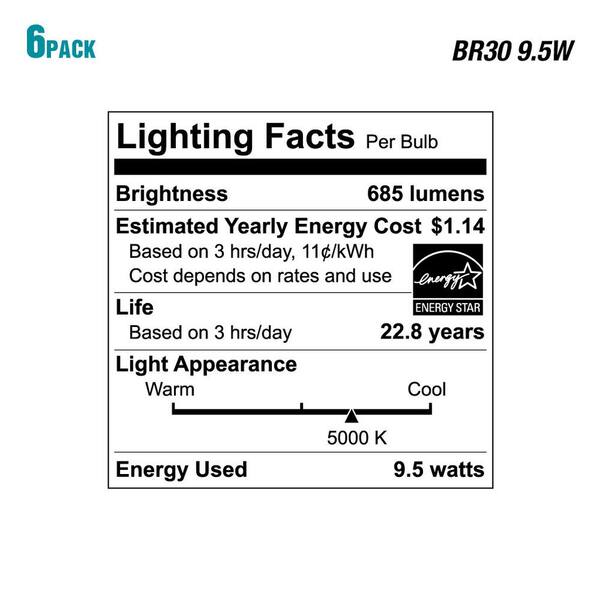 ecosmart 1003024403