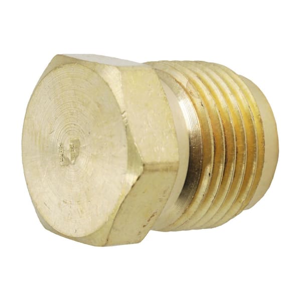 1/2 in. Flare Brass Plug Fitting
