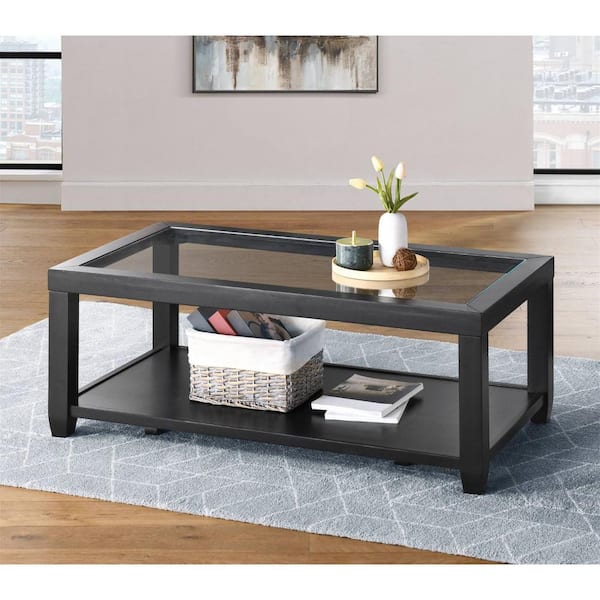HomeRoots Amelia 48 in. Black Rectangle Glass Coffee Table with Shelves