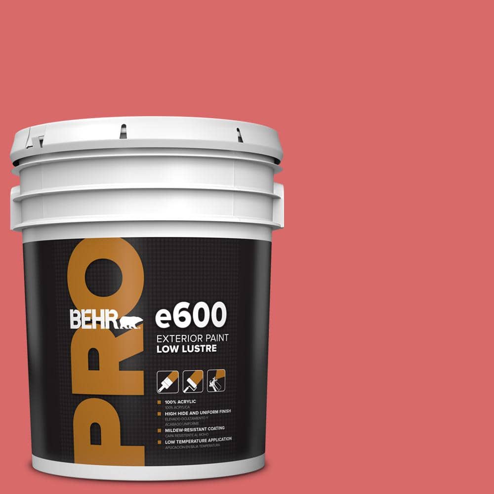 5 gal. #160B-6 Coral Expression Low Luster Exterior Paint product image for price tracking