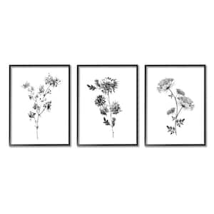 Cornflower Wildflower Black Florals by Conrad Knutsen 3-Piece Framed Print Nature Texturized Art 11 in. x 14 in.