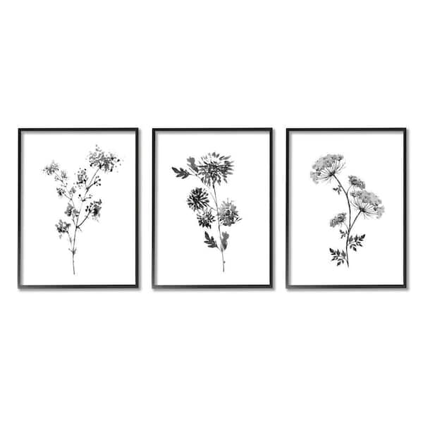 Cornflower Wildflower Black Florals by Conrad Knutsen 3-Piece Framed Print Nature Texturized Art 16 in. x 20 in.