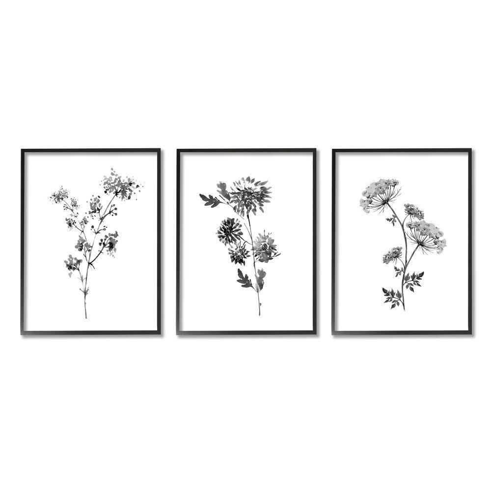 Cornflower Wildflower Black Florals by Conrad Knutsen 3-Piece Framed Print Nature Texturized Art 24 in. x 30 in. price history on PriceWatchPro