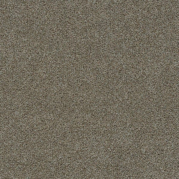 Dewdrop II-Peaceful Brown-75 oz. SD Polyester Texture Carpet - Installation Required