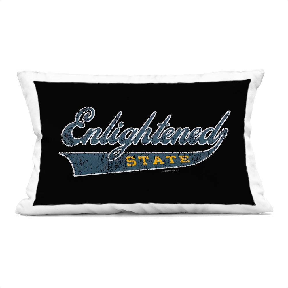 Enlightened State Varsity Black Print Polyester 14 in. x 20 in. Throw Pillow price history on PriceWatchPro