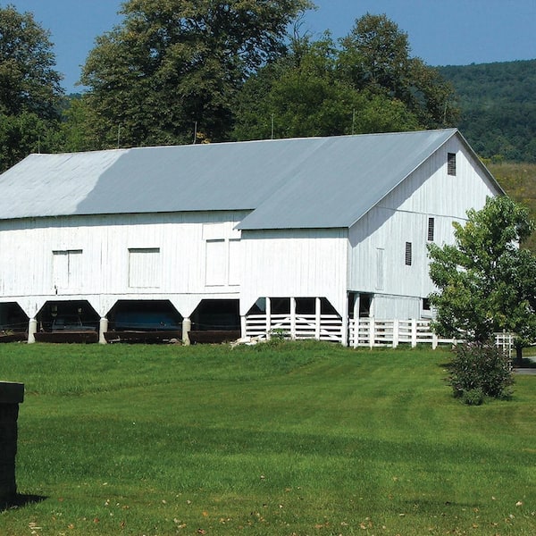 1 Gallon White Exterior Barn & Fence Latex Paint 18-3121-70 GL - Exterior  House Paint 