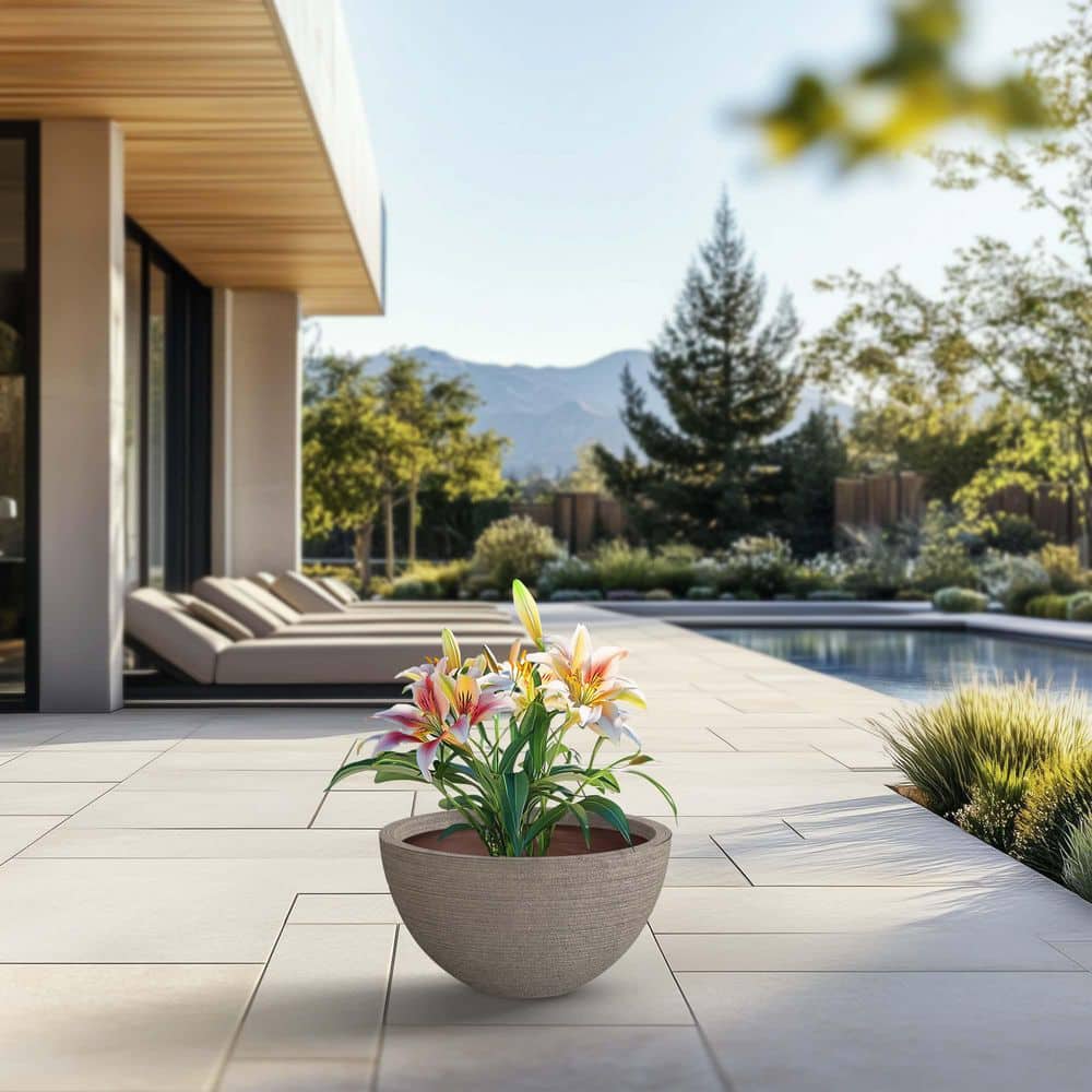 17.5 in. Large Light Gray (Enhanced Interior) Concrete Round Planter / Pot with Drainage Holes price history on PriceWatchPro