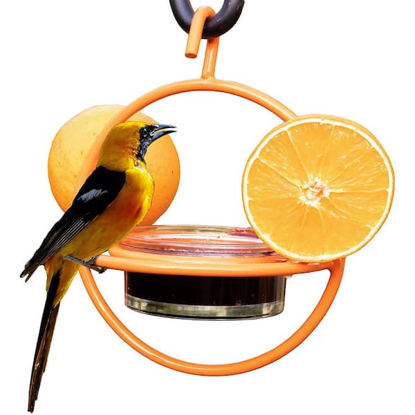 Bird Feeder Orange Ceramic dish NEW with metal hook 