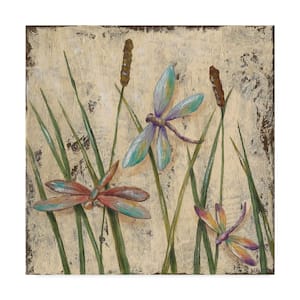 Dancing Dragonflies I by Jade Reynolds Floater Frame Animal Wall Art 14 in. x 14 in.