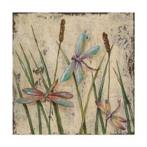 Dancing Dragonflies I by Jade Reynolds Floater Frame Animal Wall Art 18 in. x 18 in.