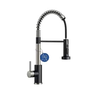 FORIOUS Single-Spring Handle Kitchen Faucet with Pull Down