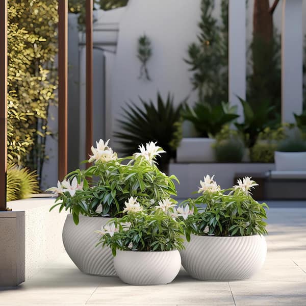 Sapcrete Textured 11.5in., 15in., 20in. Dia Large Round Crisp White Concrete Planter/Flower Pot for Indoor & Outdoor Set of 3