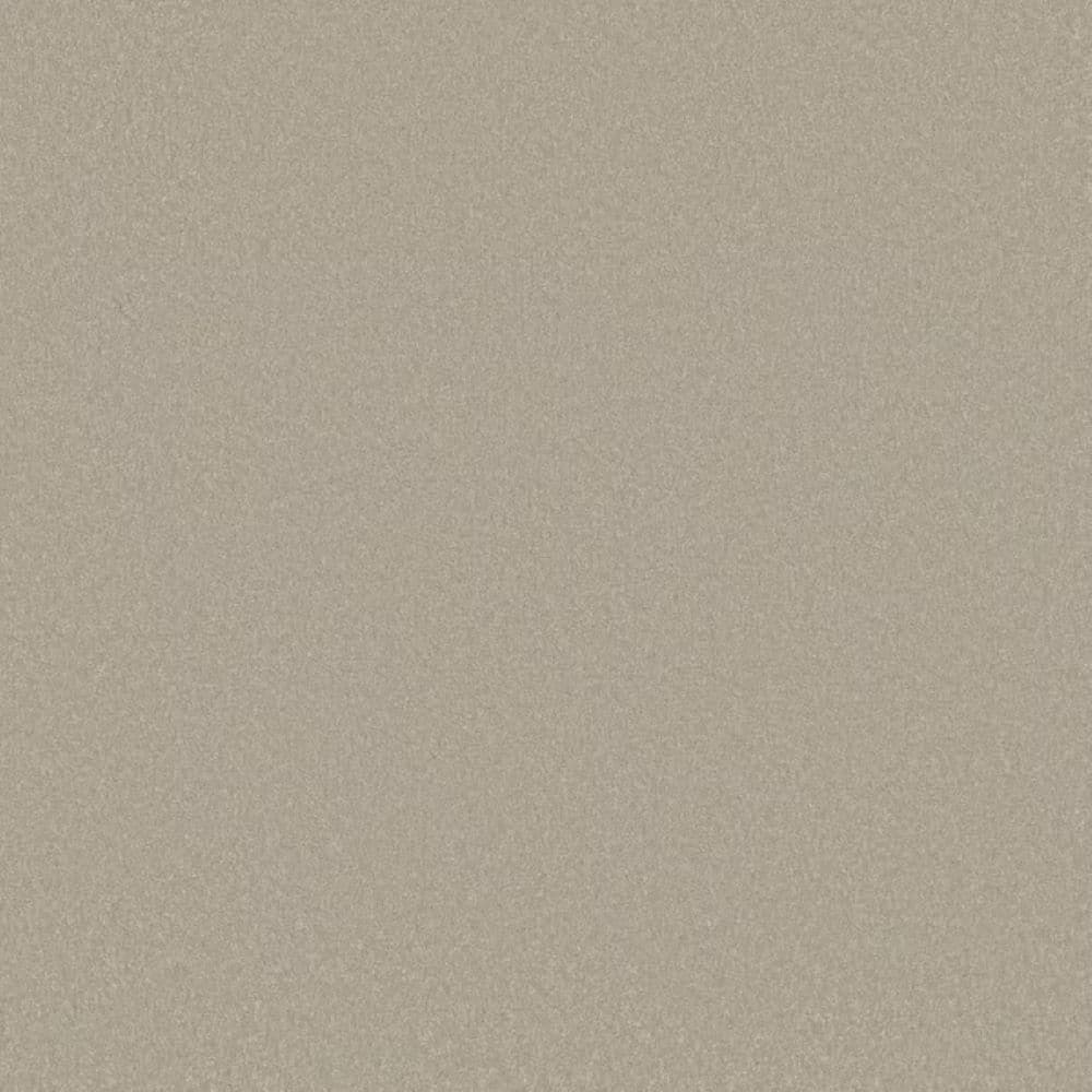 8 in. x 8 in. Texture Carpet Sample-Park Royal II-Color Natural price history on PriceWatchPro