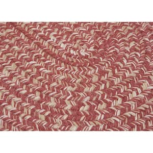 Cicero Rosewood 2 ft. x 3 ft. Oval Braided Area Rug