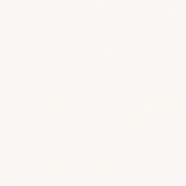 FORMICA 4 ft. x 8 ft. Laminate Sheet in Dover White with Matte Finish