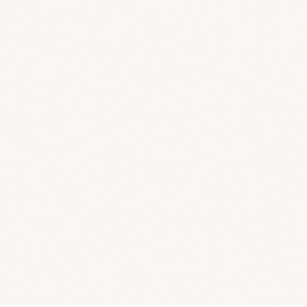 5 ft. x 12 ft. Laminate Sheet in Dover White with Matte Finish price history on PriceWatchPro