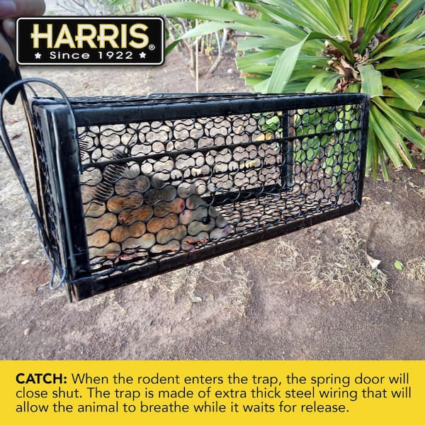 Live Animal Humane Trap 2-Door Mouse Cage Trap For Chipmunk Rats Squirrels Voles 
