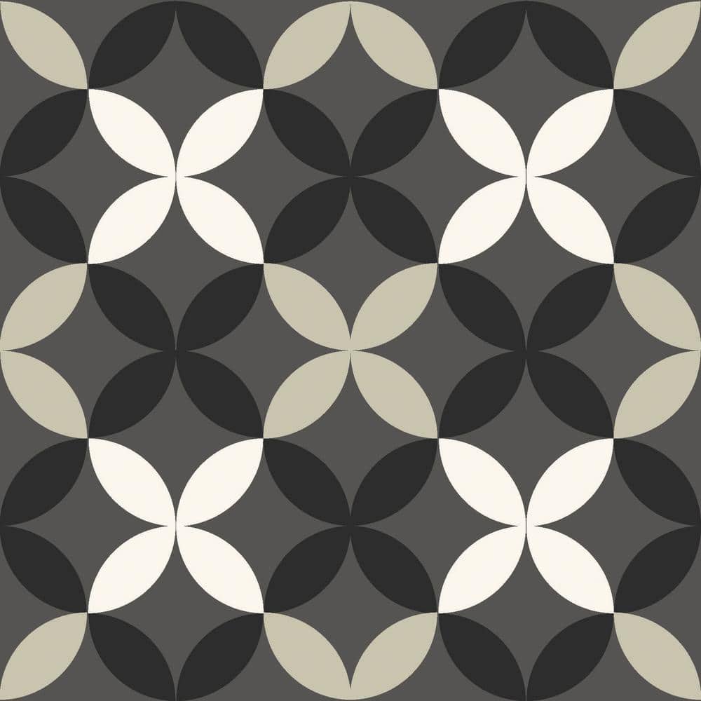 Take Home Sample Arbor Black 6 in. W x 6 in. L Residential Vinyl Tile Flooring price history on PriceWatchPro