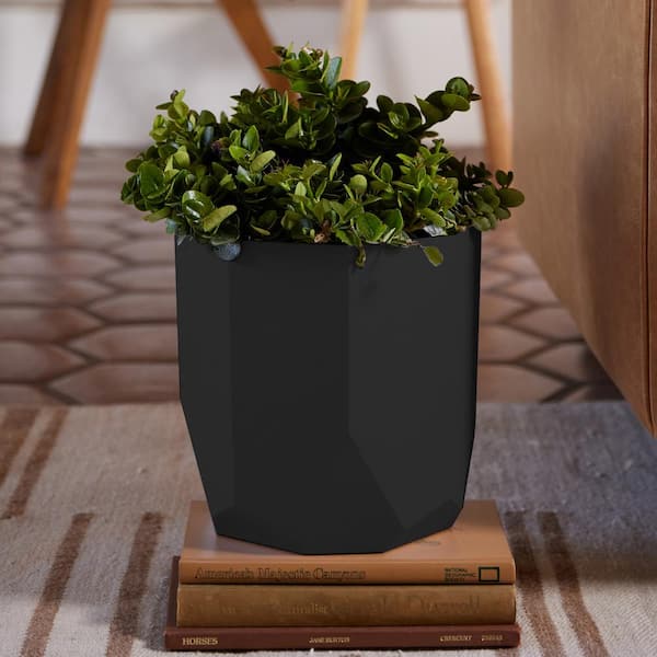 Bloem Tuxton 8.25 in. L x 8.25 in. W x 8.13 in. H 6.8 qt. Black