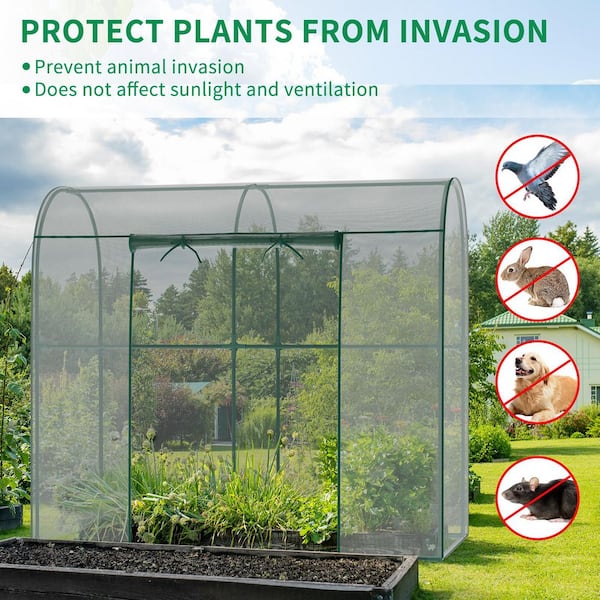 Crop Cages for Garden Plant 6.6 ft. L x 3.3 ft. W x 6 ft. H Crop Cage Plant Protection Tent with Zipper Door, Round