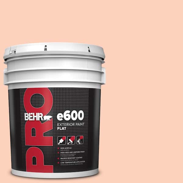BEHR PRO 5 gal. #P190-2 Fahrenheit Flat Exterior Paint