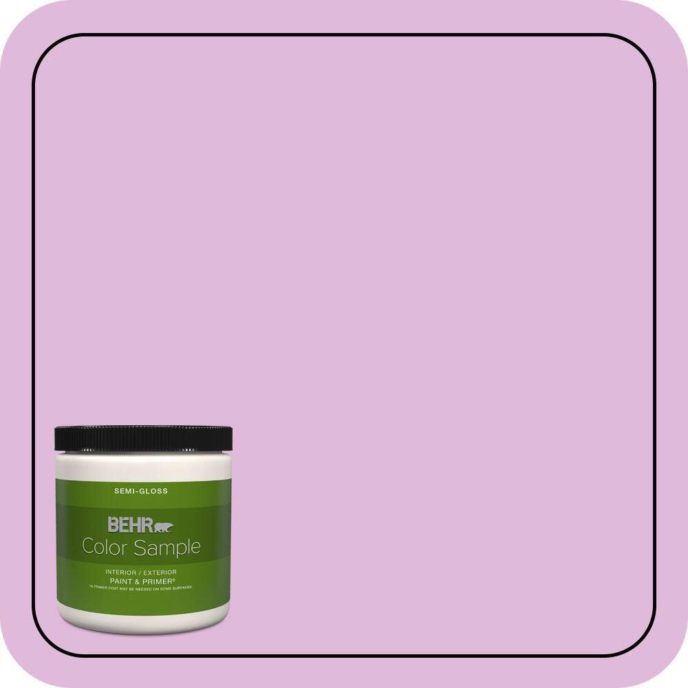 8 oz. #670A-3 Posies Semi-Gloss Interior/Exterior Paint & Primer Color Sample price history on PriceWatchPro