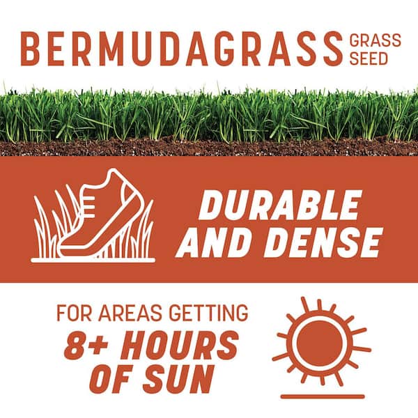 15 lbs. Bermudagrass Grass Seed