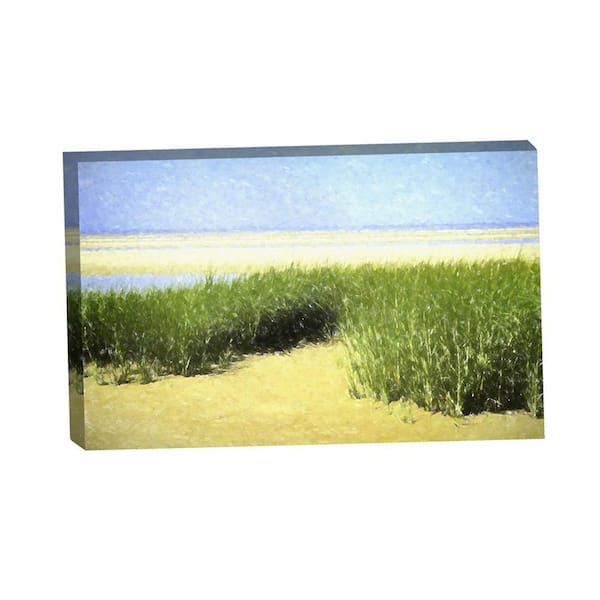 VENICE BEACH Collections Marsh Grasses on a Crystal Clear Day by Grotto Studios 1-Piece Unframed Graphic Print Abstract 36 in. x 24 in.