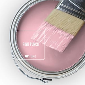 120C-2 Pink Punch Paint