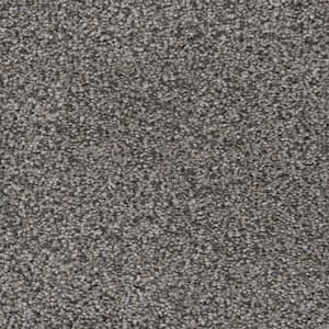 Fall Skies I  - Crisp Air - Gray 48 oz. SD Polyester Texture Installed Carpet