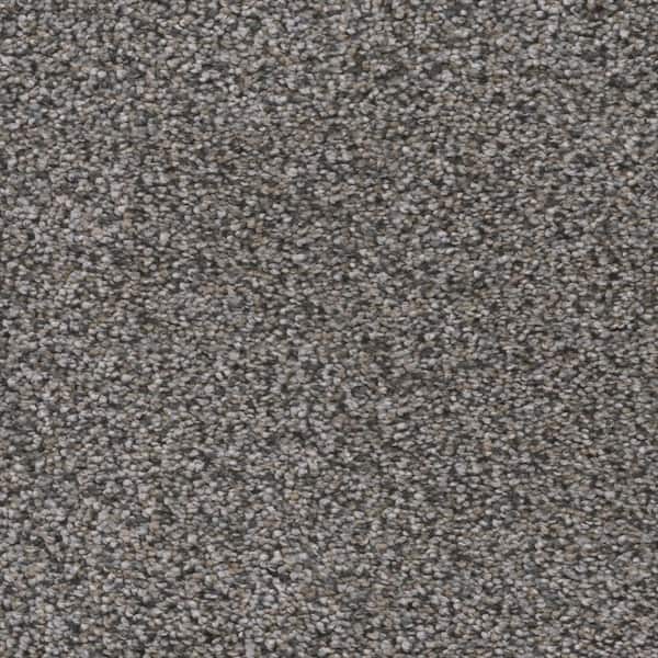 Home Decorators Collection Fall Skies I  - Crisp Air - Gray 48 oz. SD Polyester Texture Installed Carpet