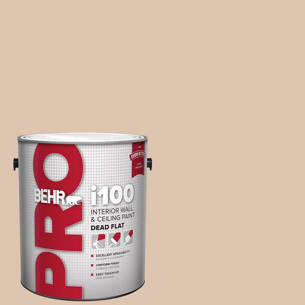 1 gal. #N250-2A Bali Sand Dead Flat Interior Paint price history on PriceWatchPro