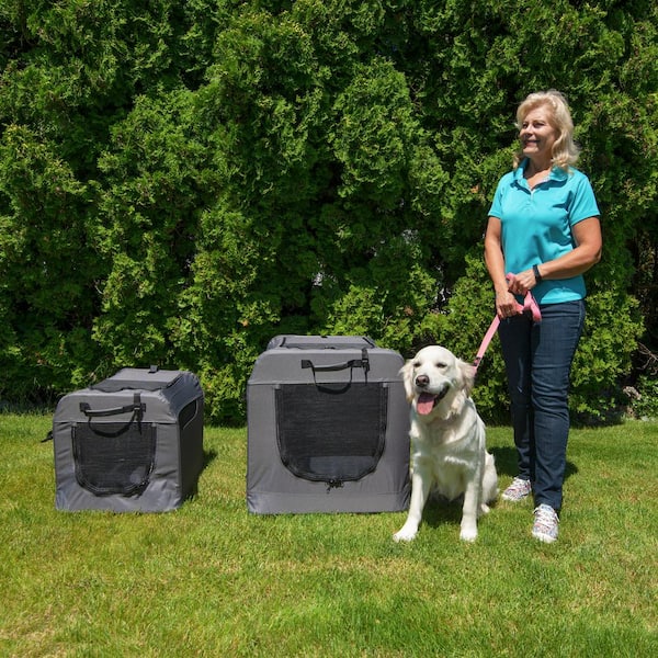 portable dog crate medium