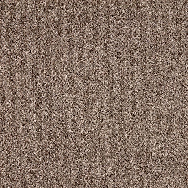 TrafficMaster Moss Peak - Timeless - Brown 31 oz. Polyester Pattern Carpet - Installation Required