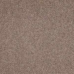 Moss Peak  - Timeless - Brown 15 ft. 31 oz. Polyester Pattern Installed Carpet