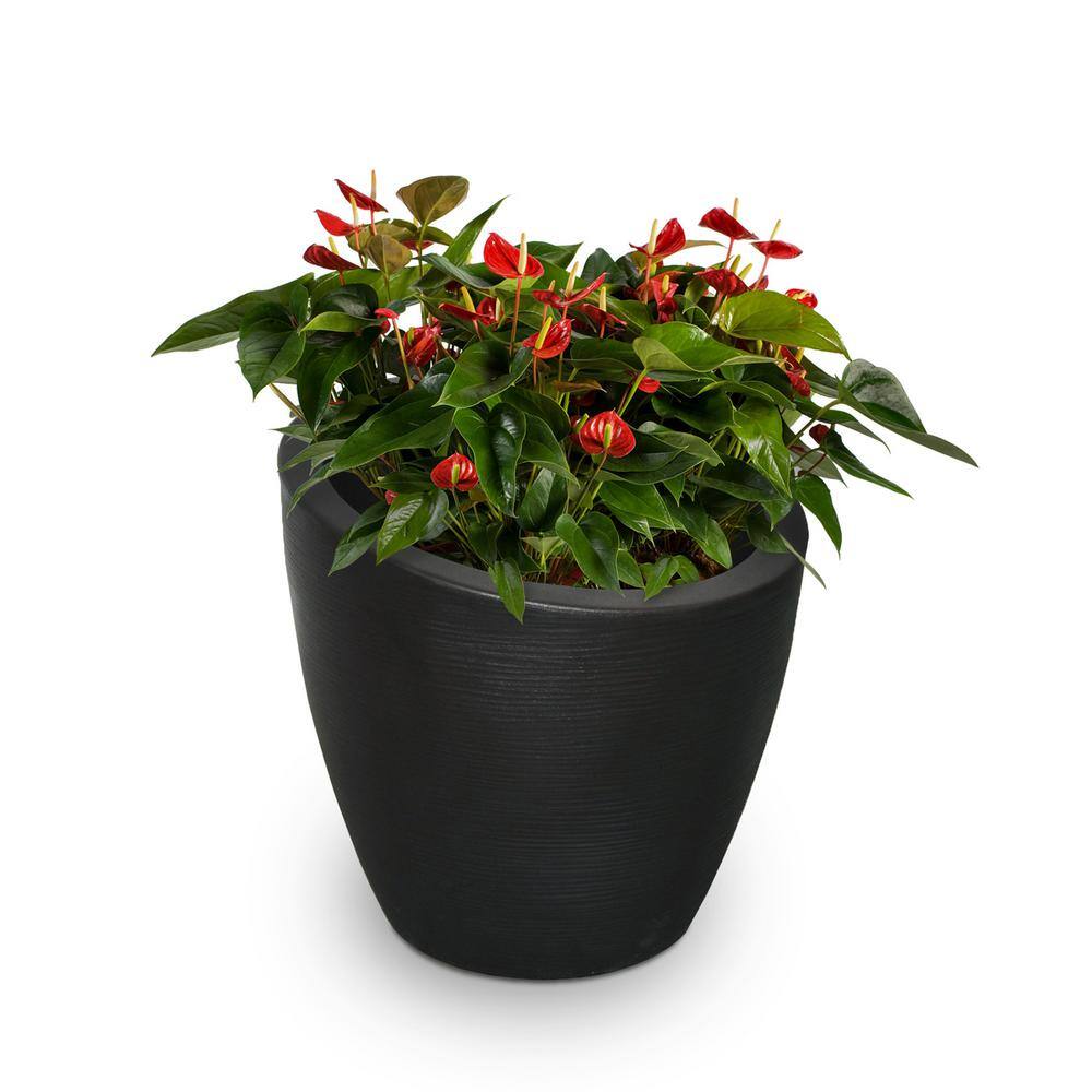 Modesto 20" European Flair Black Polyethylene Planter