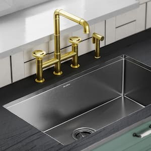 Avallon Pro 2-Handle Standard Kitchen Faucet with Side Sprayer in Brushed Gold