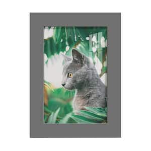 Modern 4 in. x 6 in. Grey Picture Frame