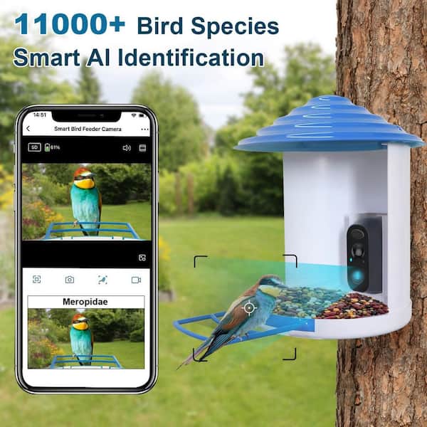 Afoxsos Smart Bird Feeder with Solar Roof, 1080P HD Camera, AI Identify Bird  Species, Wi-Fi Connection (Include 16G SD Card) HDSA10OT011 - The Home Depot