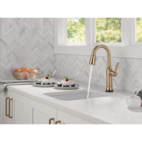Delta Renaldi Gold Touch2O with Touchless Technology Single Handle