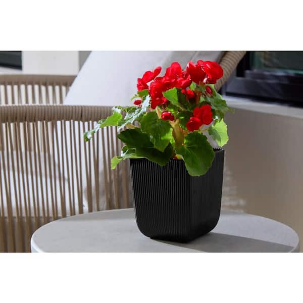 4 in. Albany Small Black Plastic Planter (4 in. D x 4.7 in. H)