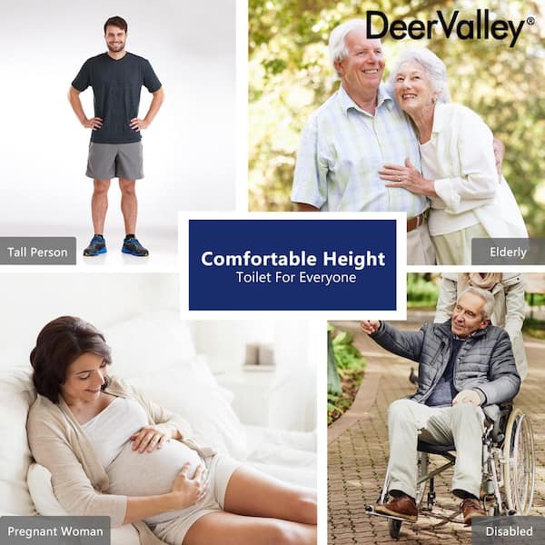 2-Piece 1.28 GPF Single Flush Elongated 19" ADA Tall Toilet in White MAP 1000, Slow-Close Seat Included