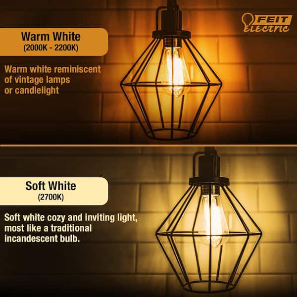 Feit Electric 60-Watt Equivalent ST19 Dimmable Straight Feit Electric 60-Watt Equivalent ST19 Dimmable Straight