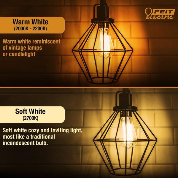 Feit Electric 60 Watt ST19 Dimmable Cage Filament Amber Glass E26 Incandescent Vintage Edison Light Bulb Warm White 24 Pack 60ST19 6 4 The Home Depot