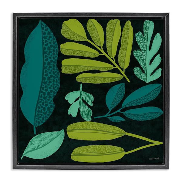 Stupell Industries Plant Toss Collage by Cheryl Warrick Black Floater Frame Nature Graphic Art Print 18 in. x 18 in.