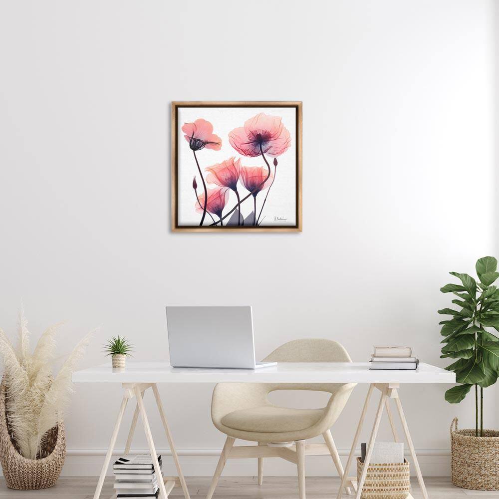 Elegant Modern Poppy Buds by Albert Koetsier Brown Floater Frame Nature Graphic Art Print 25 in. x 25 in. price history on PriceWatchPro