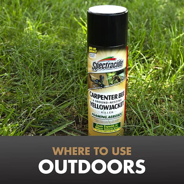 Spectracide Foam Insect Killer 16 oz